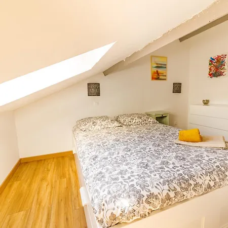 T3 De Tourisme Voltaire Appartement